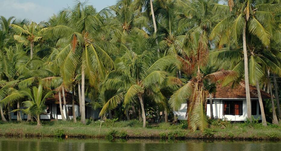Michael Land Resort, Kochi 3
